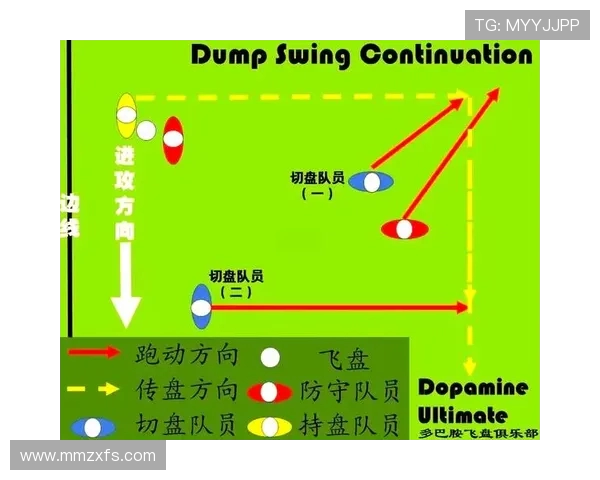 南京飞盘队整体压制战术解析与实战应用探讨